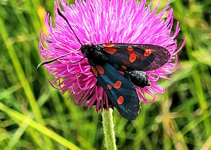 Hébergement de vacances Casa Acqua Dolce - House With 4 Bedrooms And Own