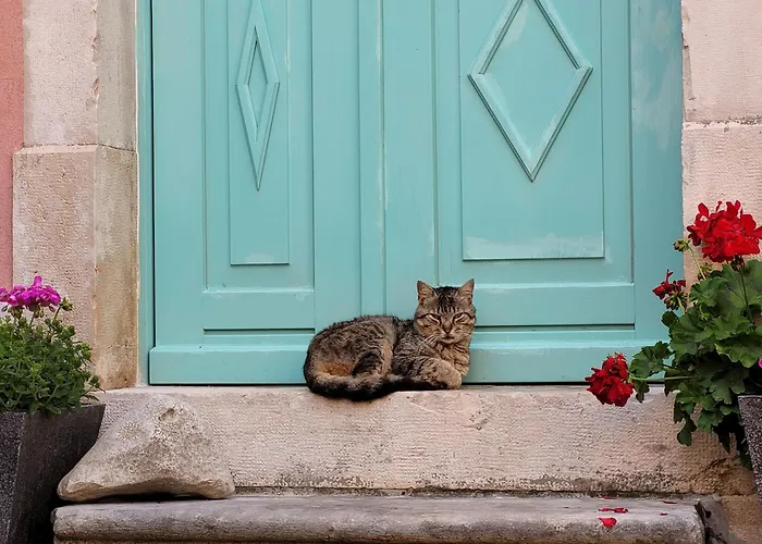 Casa Acqua Dolce - House With 4 Bedrooms And Own * Oprtalj